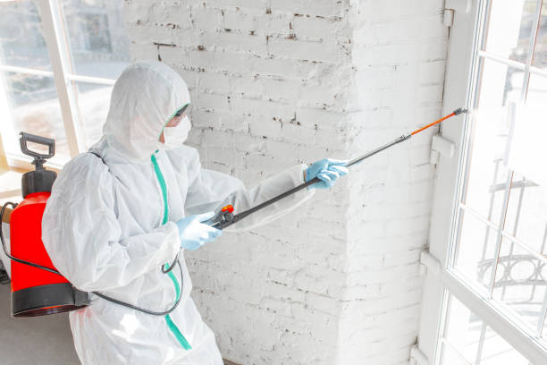 Best Asbestos and Lead Testing During Mold Inspection  in Victoria, TX