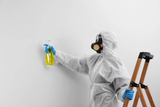 Mold Documentation for Insurance Claims in Victoria, TX