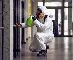 Why You Should Choose Our Mold Remediation Services in Victoria, TX